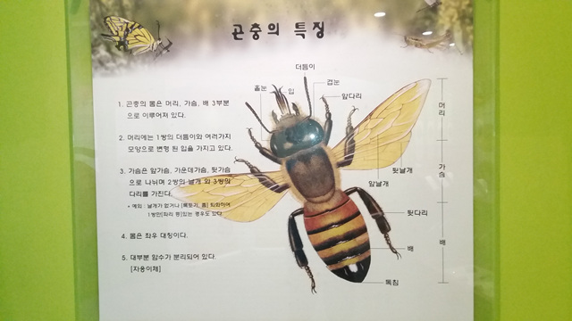 전국과학관길라잡이