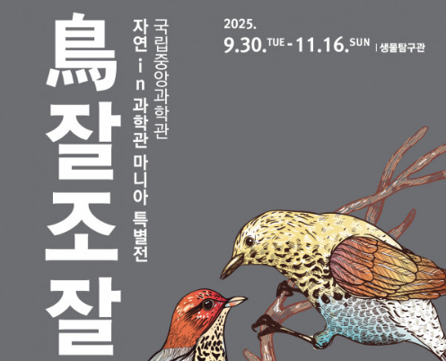 자연 in 과학관 마니아 특별전 『鳥잘조잘』이미지
