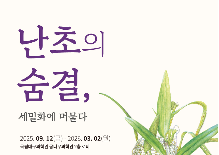 [특별기획전] 난초의 숨결, 세밀화에 머물다이미지
