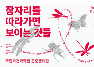 [기획전] 곤충의 날 기념 '잠자리를 따라가면 보이는 것들' 개최이미지